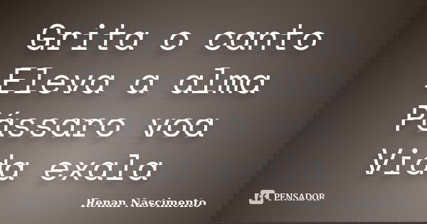 Grita o canto Eleva a alma Pássaro voa Vida exala... Frase de Renan Nascimento.
