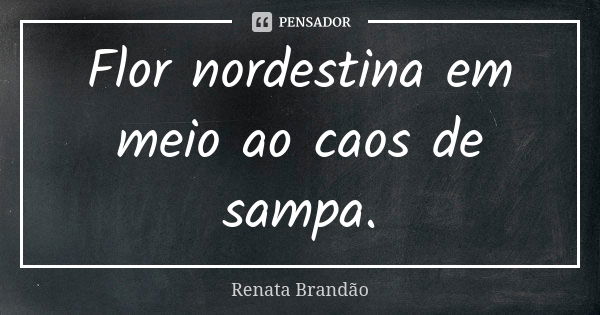 Flor nordestina em meio ao caos de sampa.... Frase de Renata Brandão.