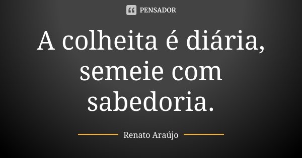 A colheita é diária, semeie com sabedoria.... Frase de Renato Araújo.