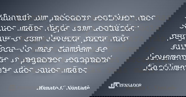 Quando um pássaro estiver nas suas mãos haja com astúcia: pegue-o com leveza para não sufoca-lo mas tambem se levemente o pegares escapará facilmente das suas m... Frase de Renato C. Vontade.