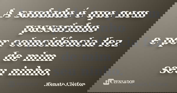 A saudade é que nem passarinho e por coincidência fez de mim seu ninho.... Frase de RENATO CLEITON.
