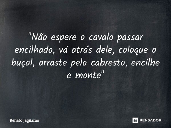 ⁠"Não espere o cavalo passar encilhado, vá atrás dele, coloque o buçal, arraste pelo cabresto, encilhe e monte"... Frase de Renato Jaguarão.