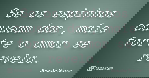 Se os espinhos causam dor, mais forte o amor se revela.... Frase de Renato Nacse.