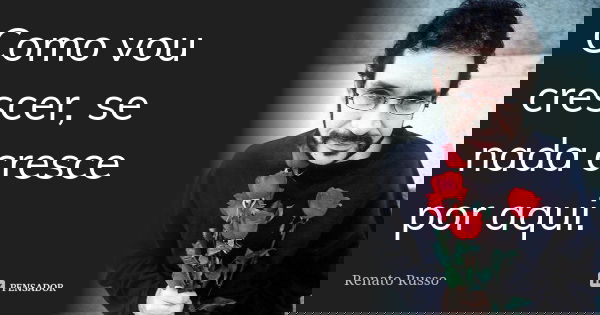 Como vou crescer, se nada cresce por aqui.... Frase de Renato Russo.