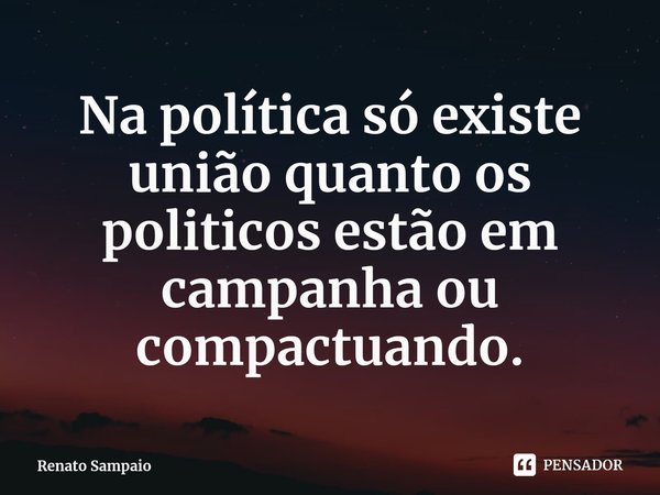 ⁠Na política só existe união quanto os politicos estão em campanha ou compactuando.... Frase de Renato Sampaio.