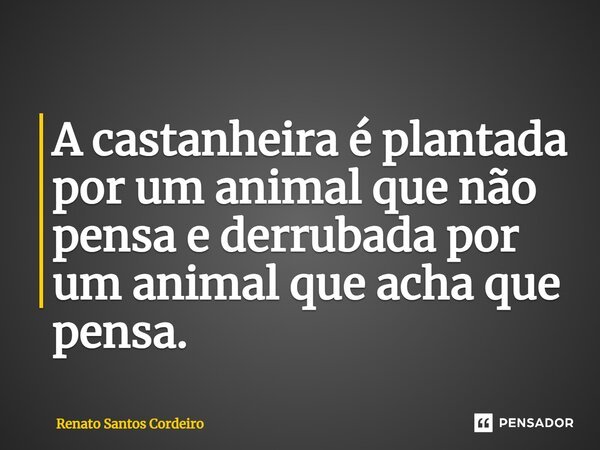 ⁠A castanheira é plantada por um animal que não pensa e derrubada por um animal que acha que pensa.... Frase de Renato Santos Cordeiro.