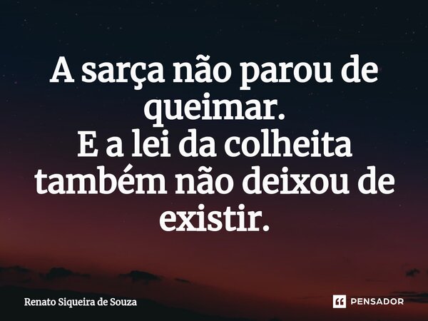 ⁠A sarça não parou de queimar. E a lei da colheita também não deixou de existir.... Frase de Renato siqueira de souza.