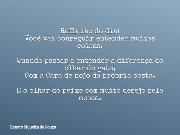 Reflexão do dia: Você vai conseguir entender muitas coisas. Quando passar a entender a diferença do olhar do gato, Com a Cara de nojo da própria bosta. E o olha... Frase de Renato Siqueira de Souza.