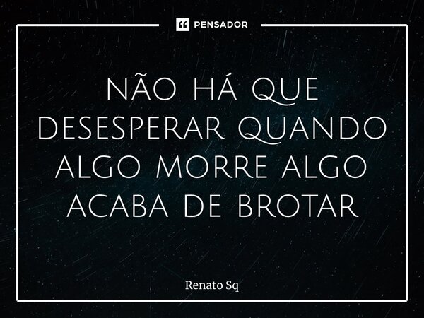 ⁠não há que desesperar quando algo morre algo acaba de brotar... Frase de Renato Sq.