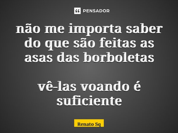 ⁠não me importa saber do que são feitas as asas das borboletas vê-las voando é suficiente... Frase de Renato Sq.