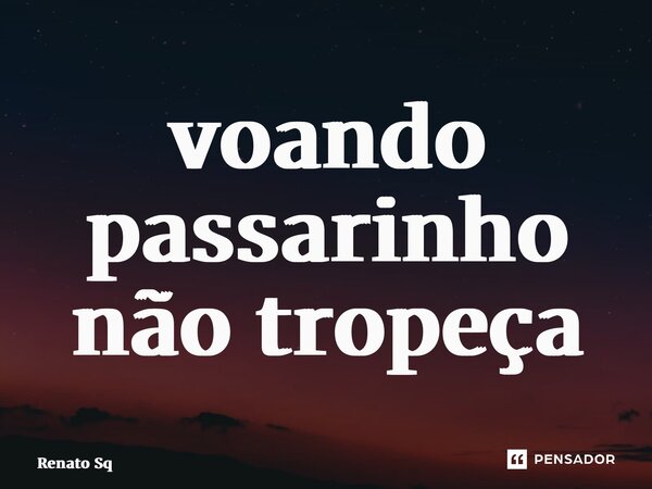 ⁠voando passarinho não tropeça... Frase de Renato Sq.