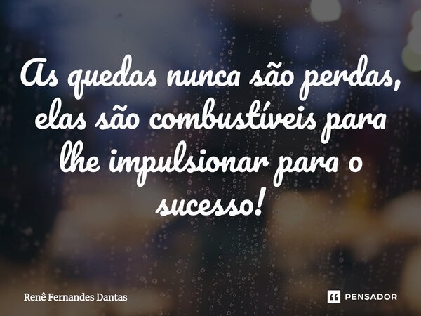 ⁠As quedas nunca são perdas, elas são combustíveis para lhe impulsionar para o sucesso!... Frase de Renê Fernandes Dantas.