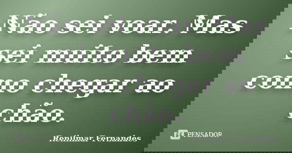 Não sei voar. Mas sei muito bem como chegar ao chão.... Frase de Renilmar Fernandes.