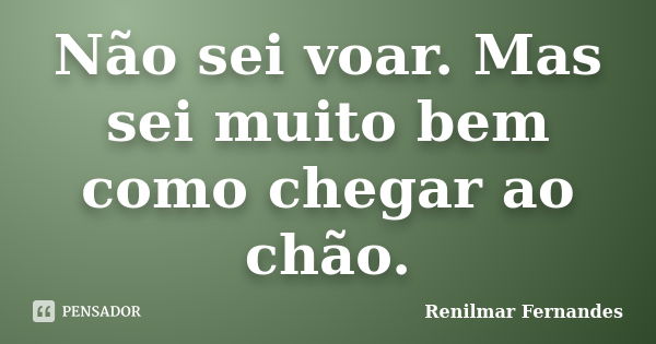 Não sei voar. Mas sei muito bem como chegar ao chão.... Frase de Renilmar Fernandes.