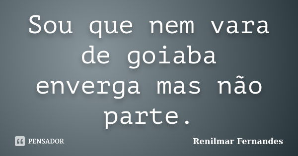 Sou que nem vara de goiaba enverga mas não parte.... Frase de Renilmar Fernandes.