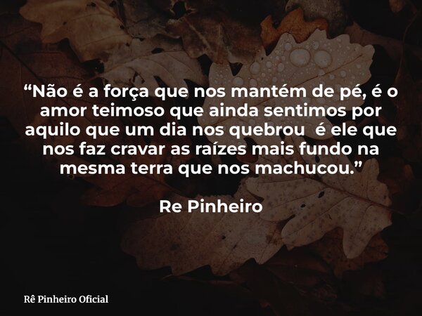 “Não é a força que nos mantém de pé, é o amor teimoso que ainda sentimos por aquilo que um dia nos quebrou é ele que nos faz cravar as raízes mais fundo na mesm... Frase de Rê Pinheiro Oficial.