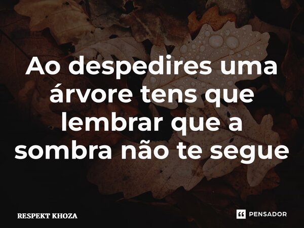 ⁠Ao despedires uma árvore tens que lembrar que a sombra não te segue... Frase de Respekt Khoza.