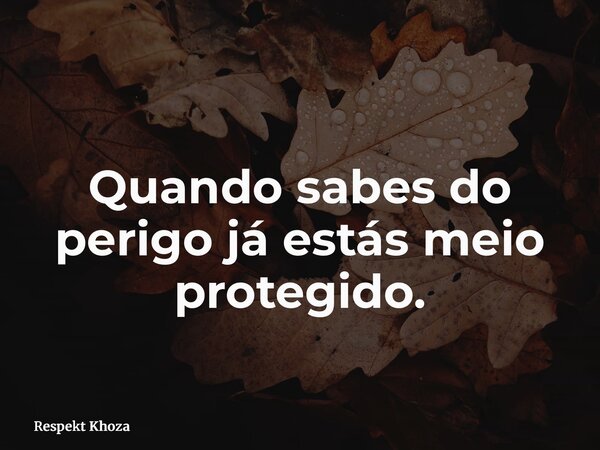 Quando sabes do perigo já estás meio protegido.... Frase de Respekt Khoza.