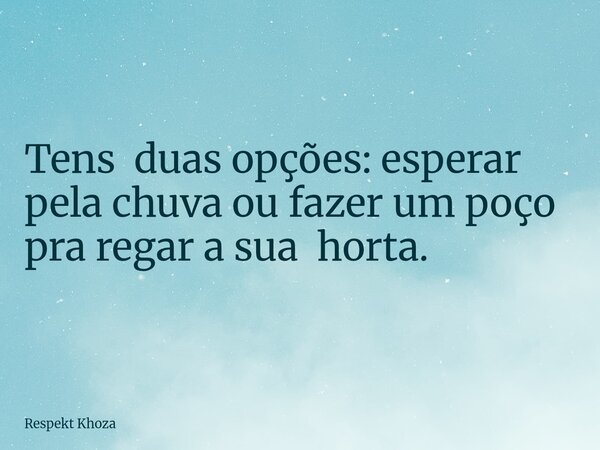 Tens duas opções: esperar pela chuva ou fazer um poço pra regar a sua horta.... Frase de Respekt Khoza.