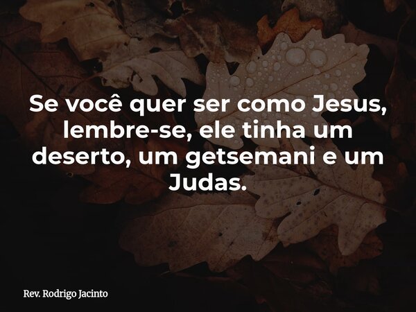 Se você quer ser como Jesus, lembre-se, ele tinha um deserto, um getsemani e um Judas.... Frase de Rev. Rodrigo Jacinto.