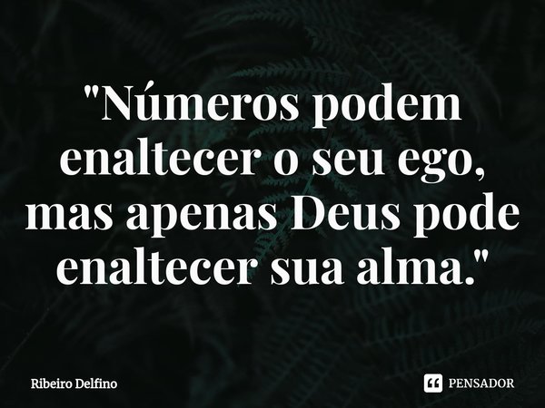 "Números podem enaltecer o seu ego, mas apenas Deus pode enaltecer sua alma."... Frase de Ribeiro Delfino.
