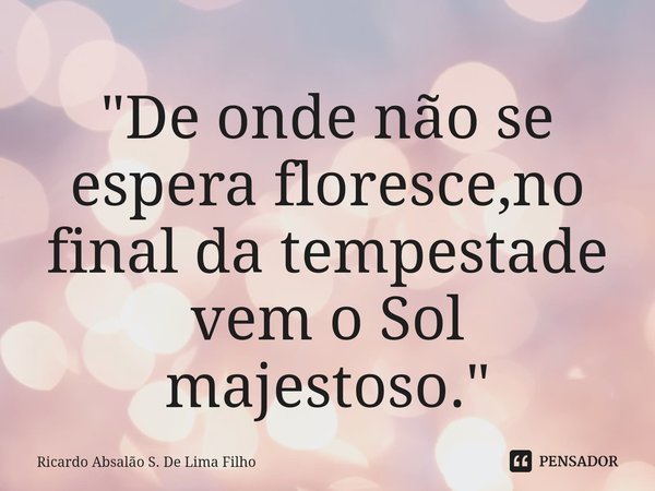 ⁠"De onde não se espera floresce,no final da tempestade vem o Sol majestoso."... Frase de Ricardo Absalão S. De Lima Filho.