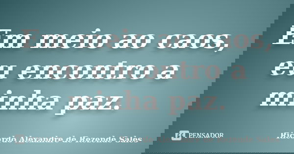 Em meio ao caos, eu encontro a minha paz.... Frase de Ricardo Alexandre de Rezende Sales.