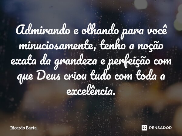 ⁠Admirando e olhando para você minuciosamente, tenho a noção exata da grandeza e perfeição com que Deus criou tudo com toda a excelência.... Frase de Ricardo Baeta..