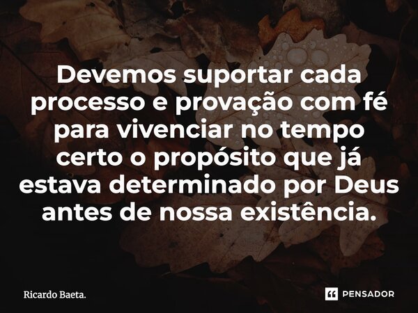 ⁠Devemos suportar cada processo e provação com fé para vivenciar no tempo certo o propósito que já estava determinado por Deus antes de nossa existência.... Frase de Ricardo Baeta..