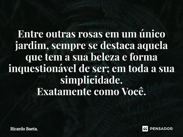 ⁠Entre outras rosas em um único jardim, sempre se destaca aquela que tem a sua beleza e forma inquestionável de ser; em toda a sua simplicidade. Exatamente como... Frase de Ricardo Baeta..