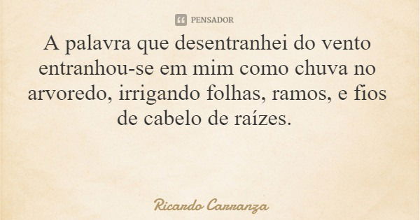 A palavra que desentranhei do vento entranhou-se em mim como chuva no arvoredo, irrigando folhas, ramos, e fios de cabelo de raízes.... Frase de Ricardo Carranza.