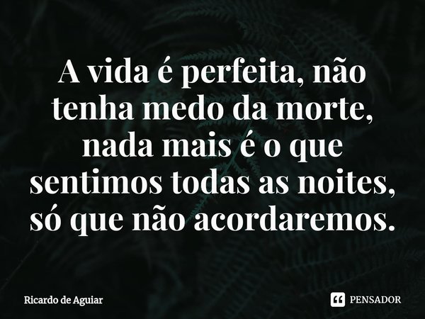 A vida é perfeita, ⁠não tenha medo da morte, nada mais é o que sentimos todas as noites, só que não acordaremos.... Frase de Ricardo de Aguiar.