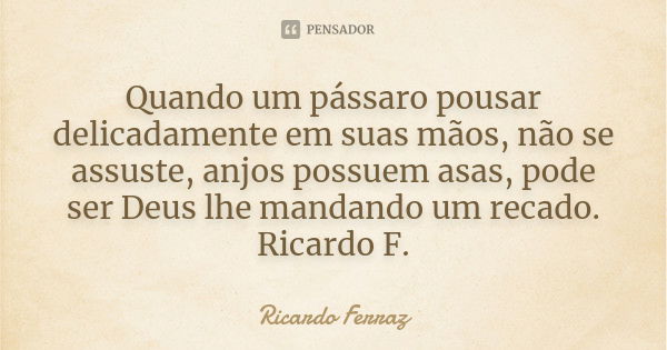 Quando um pássaro pousar delicadamente em suas mãos, não se assuste, anjos possuem asas, pode ser Deus lhe mandando um recado. Ricardo F.... Frase de Ricardo Ferraz.