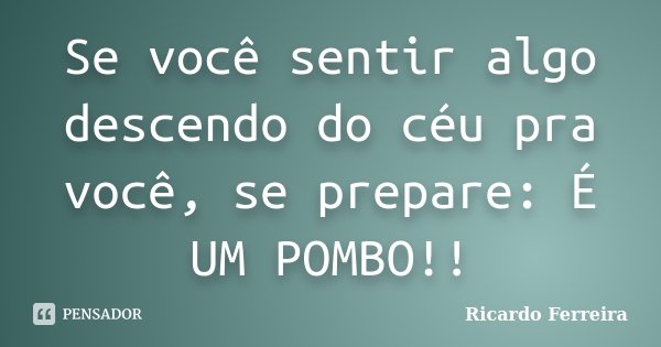 Se você sentir algo descendo do céu pra você, se prepare: É UM POMBO!!... Frase de Ricardo Ferreira.