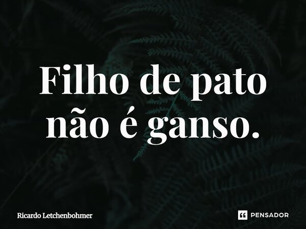 ⁠Filho de pato não é ganso.... Frase de Ricardo Letchenbohmer.