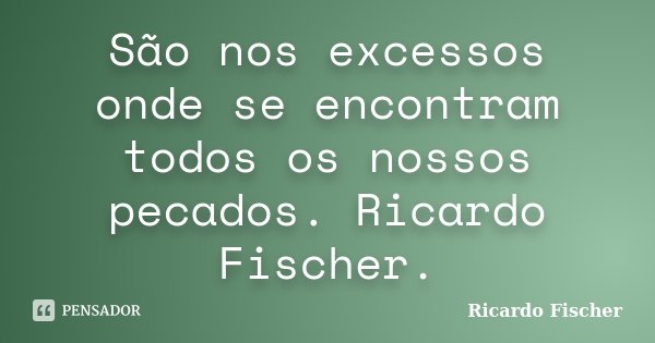 São nos excessos onde se encontram todos os nossos pecados. Ricardo Fischer.... Frase de Ricardo Fischer.