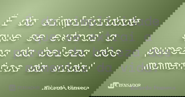 É da simplicidade que se extrai a pureza da beleza dos momentos da vida!... Frase de Ricardo Fonseca.