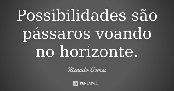 Possibilidades são pássaros voando no horizonte.... Frase de Ricardo Gomes.