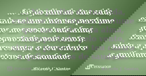 ... No jardim da tua vida, exala-se um intenso perfume que me veste toda alma, transportado pelo vento, sinto a presença o teu cheiro a quilometros de saudade.... Frase de Ricardo J. Santos.