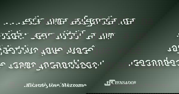 ...eis uma alegria na vida: ser útil a um objetivo que você reconhece como grandioso!... Frase de Ricardo José Mezzomo.