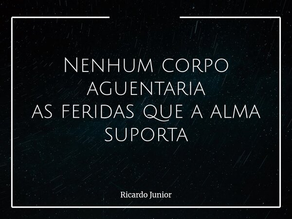 ⁠Nenhum corpo aguentaria as feridas que a alma suporta... Frase de Ricardo Junior.