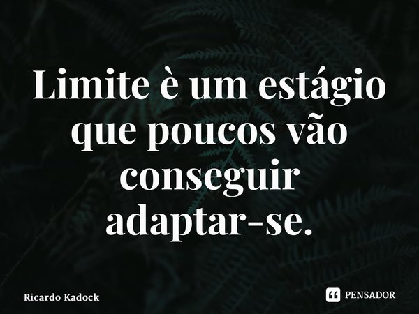 ⁠Limite è um estágio que poucos vão conseguir adaptar-se.... Frase de Ricardo Kadock.