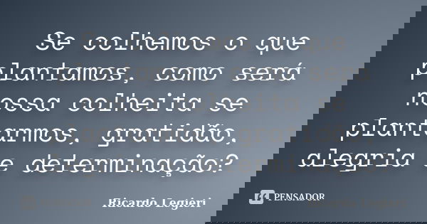 Se colhemos o que plantamos, como será nossa colheita se plantarmos, gratidão, alegria e determinação?... Frase de Ricardo Legieri.