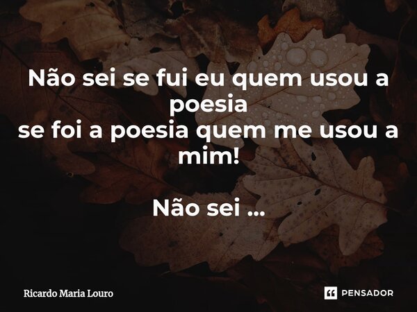 ⁠Não sei se fui eu quem usou a poesia se foi a poesia quem me usou a mim! Não sei ...... Frase de Ricardo Maria Louro.