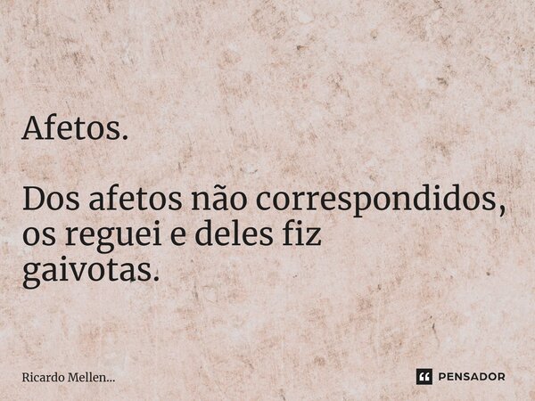 Afetos. Dos afetos não correspondidos, os reguei e deles fiz gaivotas.... Frase de Ricardo Mellen....