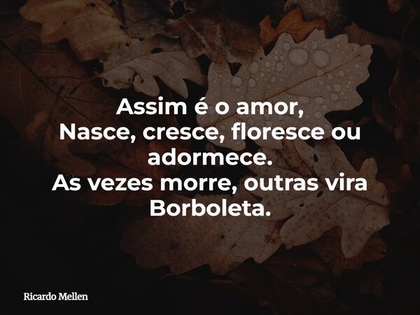 Assim é o amor, Nasce, cresce, floresce ou adormece. As vezes morre, outras vira Borboleta.... Frase de Ricardo Mellen.