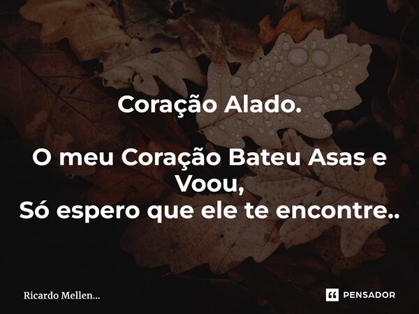 Coração Alado. O meu Coração Bateu Asas e Voou, Só espero que ele te encontre..... Frase de Ricardo Mellen....