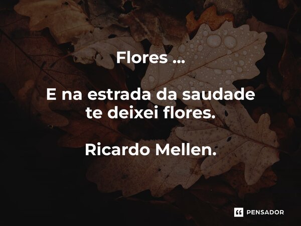 Flores ... E na estrada da saudade te deixei flores. Ricardo Mellen.... Frase de Ricardo Mellen..