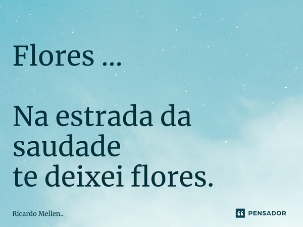 Flores ... Na estrada da saudade te deixei flores.... Frase de Ricardo Mellen...