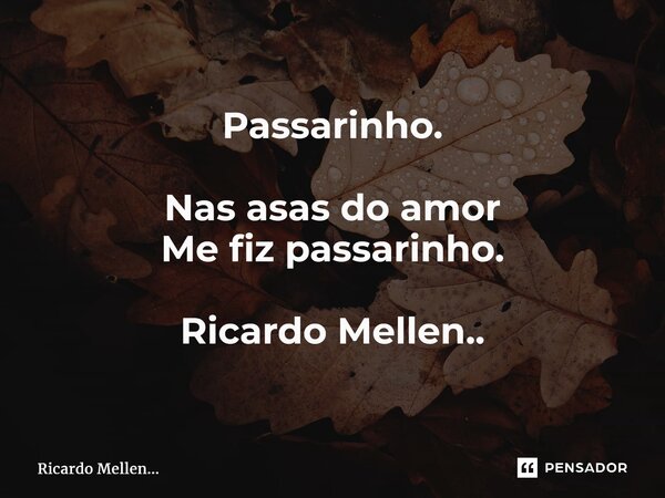 Passarinho. Nas asas do amor Me fiz passarinho. Ricardo Mellen..... Frase de Ricardo Mellen....